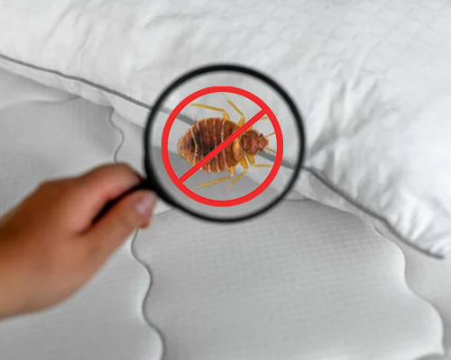 Pest control project 2