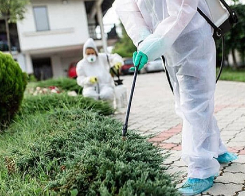Pest control project 4