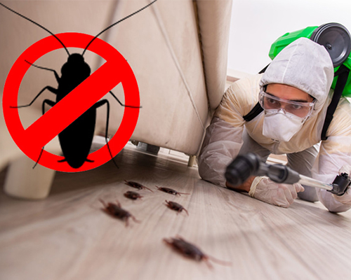 Pest control project 6