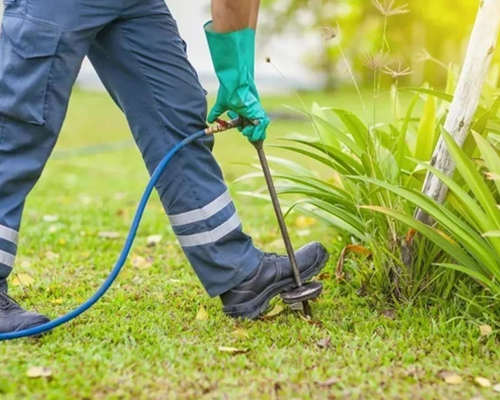 Pest control project 8
